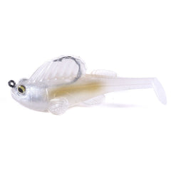 Universal Bait Fish Lure with Hidden Hook Design