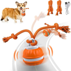 Interaktiver, rollender Haustierball, USB wiederaufladbar