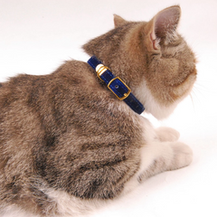 Katzenhalsband